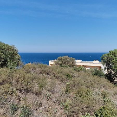 Appartement Avec Terrasse, Wifi, Parking Prive, A 2Min De La Plage Des Elmes - Banyuls-Sur-Mer - Fr-1-309-130 Exteriör bild