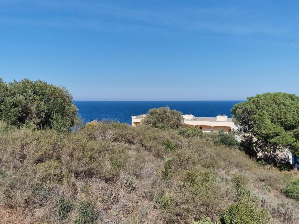 Appartement Avec Terrasse, Wifi, Parking Prive, A 2Min De La Plage Des Elmes - Banyuls-Sur-Mer - Fr-1-309-130 Exteriör bild