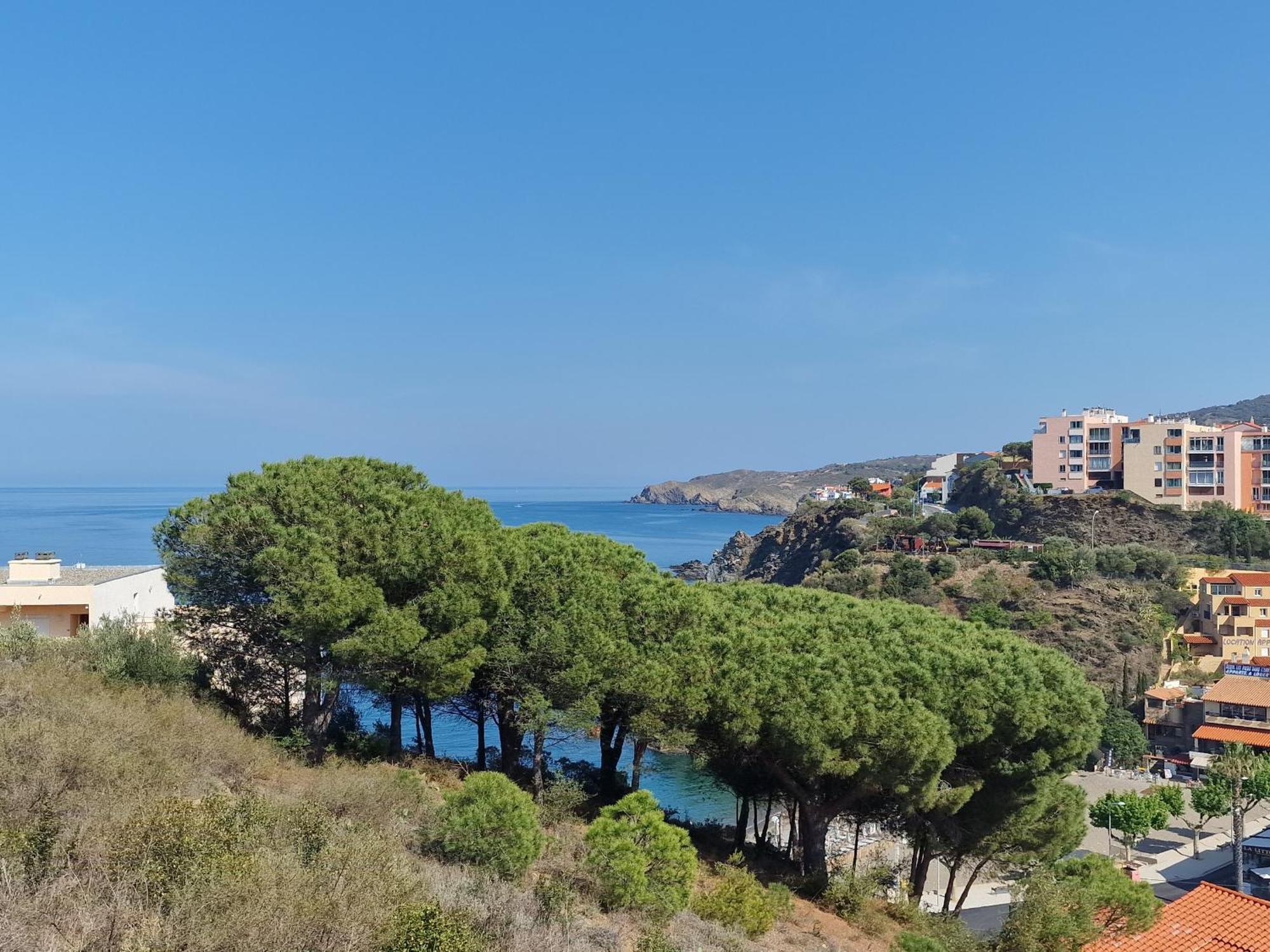 Appartement Avec Terrasse, Wifi, Parking Prive, A 2Min De La Plage Des Elmes - Banyuls-Sur-Mer - Fr-1-309-130 Exteriör bild